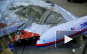 МИД России обвинил Нидерланды в давлении на суд по делу MH17
