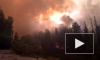 ФСБ: пожары в лесах Европы – это «лесной джихад» «Аль-Каиды»