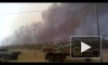 Поселки под Читой отбили от лесных пожаров