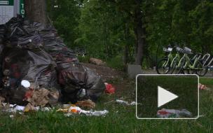 Петербуржцы недовольны мусором на набережной реки Карповки
