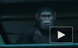 "Планета обезьян: Война": в сети появился финальный трейлер