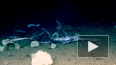 Видео: на глубине 450 метров стая маленьких акул съела р...