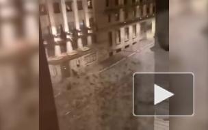 Новогодние салюты стали причиной гибели сотни птиц в Рима