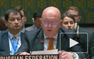 СБ ООН не принял резолюцию РФ о снятии санкций с Мали в сентябре 2024 года