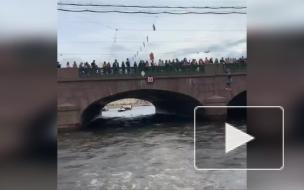Канатоходец пересек Фонтанку