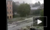 Петербуржцев ожидают ливни и сильный ветер