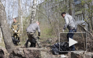 Видео: в Выборге продолжается пора субботников