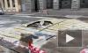 Видео: на Караванной улице "сломалась" зебра