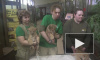 В Ленинградском зоопарке впервые показали новорожденных "львят-улыбат"