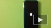 Iphone5c 