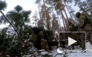 "РИА Новости": российские военные поразили опорный пункт ВСУ из крупнокалиберного орудия