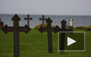 Нелегал из Африки изнасиловал 79-летнюю старушку на кладбище в Германии