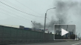 На Кубинской улице трава напугала петербуржцев