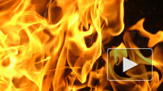 В Смоленской области три человека сгорели в больнице: возможно, мужчина поджог палату в состоянии психоза