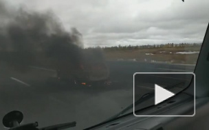 На КАД под Кронштадтом загорелась легковушка