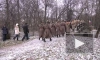 Сегодня  была война. В парке  Екатерингоф грянула Первая мировая