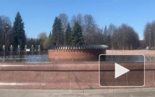 Сезон фонтанов начался в Петербурге