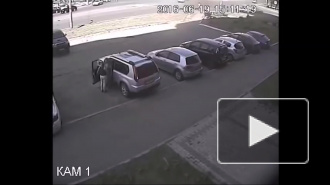 Бьёт беременную