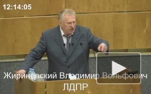Жириновский рассказал Фургалу о митингах в Хабаровске