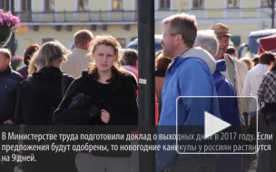 Пир во время чумы: Смольный потратит на новогодние ёлки 40 млн