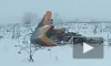 Следователи назвали окончательную причину крушения АН-148 в Подмосковье