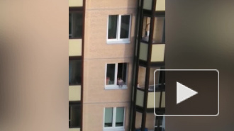 Опасный аттракцион с высунувшимся из окна ребенком обеспокоил жителей Нового Девяткино
