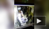 Дерзкий побег преступника со спущенными штанами попал на видео и насмешил Интернет