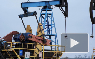 Российская нефтяная компания не видит проблемы в подешевевшей нефти