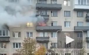 В пожаре на улице Буренина погиб человек