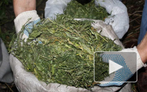 В Петербурге полицейский попался с сумкой гашиша