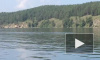 Появилось видео огромного змеевидного чудовища, плавающего в озере в Челябинской области