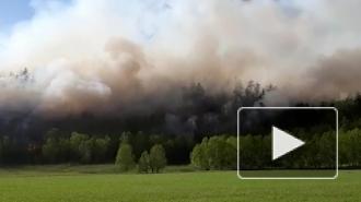 На Камчатке зафиксировали второй природный пожар в районе режима ЧС