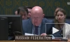 Небензя считает беспочвенными заявления о том, что Россия якобы хочет уничтожить Украину