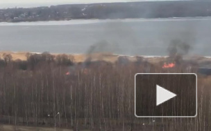 Появилось видео пожара на берегу Лахтинского разлива