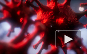 Стало известно о последствиях заражения несколькими коронавирусами