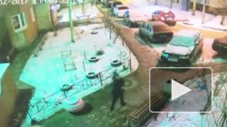 Избиение двух девушек на Брестском бульваре попало на видео