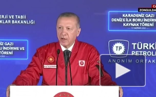 Эрдоган: Турция начала укладку газопровода по дну Черного моря