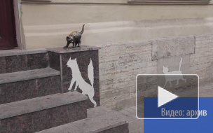 Трусливый вандал попытался выкорчевать памятник котенку Фунтику 