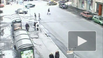 Заметался! Столкновение на Большом проспекте П.С.