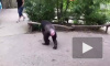 Сбежавшие из зоопарка в Ганновере шимпанзе ранили пятилетнюю девочку