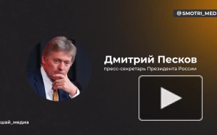 Песков назвал "данью людям, служащим своей стране" пышную встречу россиян во Внуково-2