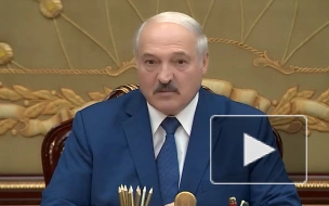Лукашенко: прикрытие махинаций перед уходом бизнесменов в политику недопустимо