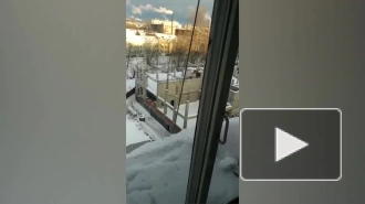 Жители дома на Камской улице стали свидетелями уборки снега ретро-утюгом
