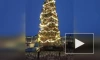 Видео: на Дворцовой площади нарядили новогоднюю елку