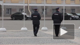 В Петербурге трое кавказцев изнасиловали девятиклассницу