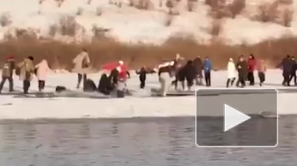 В Алтайском крае туристы с детьми провалились под лед на озере Светлое
