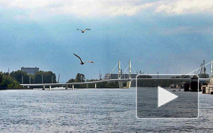 Мост через остров Серный в Петербурге появится к ЧМ-2018