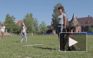 Школьников МО "Московская застава" познакомили с кинологами 