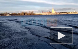 В Петербурге аномально поднялся уровень воды в Неве