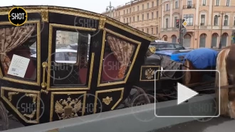 Видео: карета и автомобиль столкнулись на Благовещенском мосту